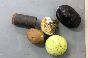 Wil Chappell - Untitled, 2014, dimensions variable, canon and vegetables