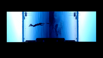 Guido Lanteri Laura, Prince of Wales Fall